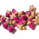 غنچه گل محمدی -داما