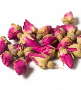 غنچه گل محمدی -داما