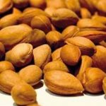 بادام کوهی -داما