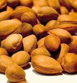 بادام کوهی -داما